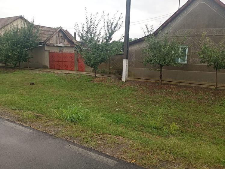 Casă cu 2 camere în Dorobanți