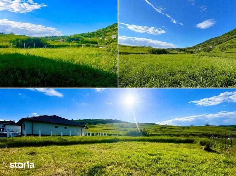Teren de 930 mp, în Viișoara