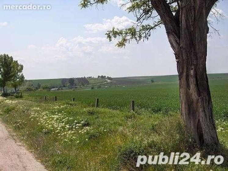 Teren de 45000 mp, în Central