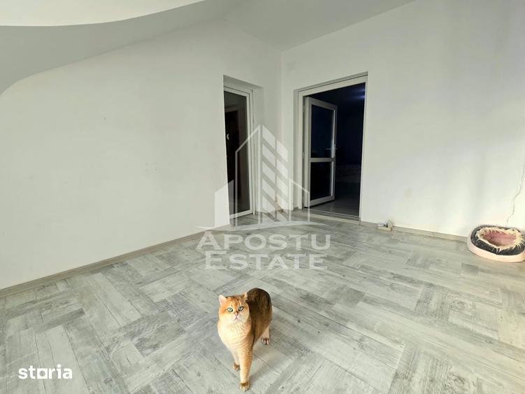 Casă cu 6 camere cu Teren 1763 Mp în Șag
