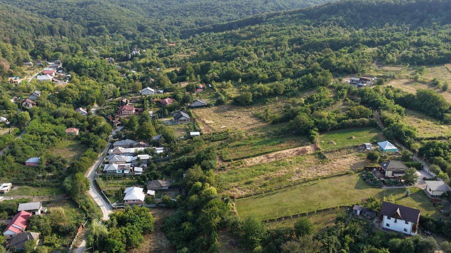 Teren Construcții intravilan de 8000 mp, în Gârlenii de Sus