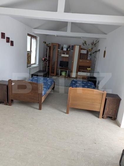 Teren 5.800 mp cu utilități și construcții existente–Oportunitate de investiție! - 10