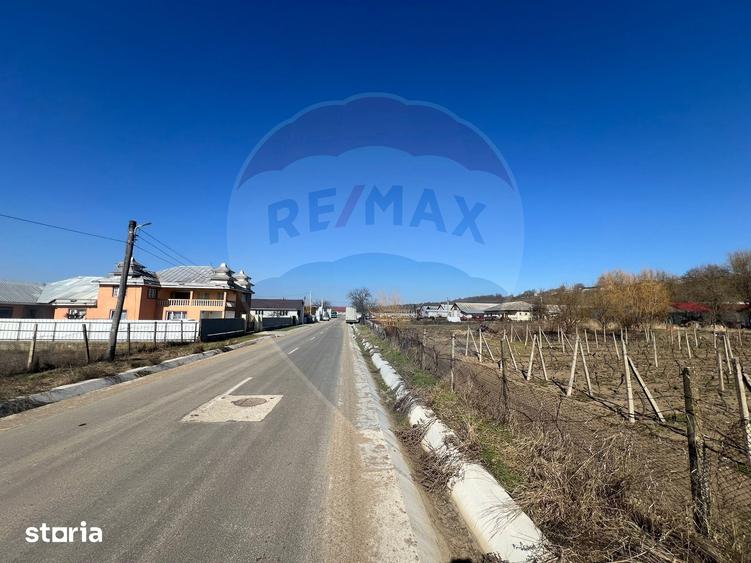 Teren de 2700 mp, în Movilița