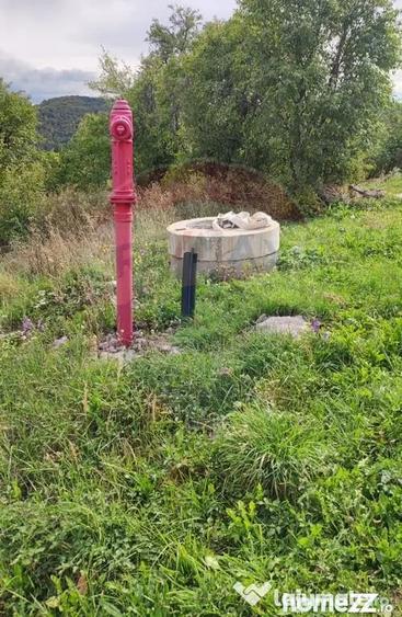 Teren de 3082 mp, în Damiș
