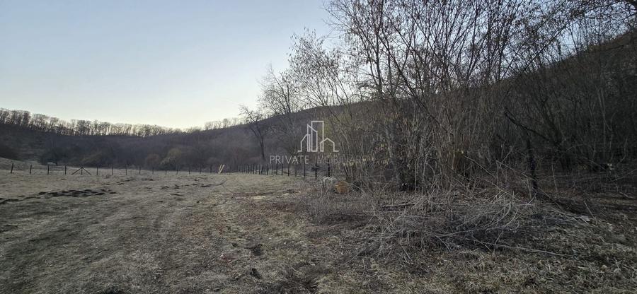 Teren agricol extravilan de 20 mp, în Daneș