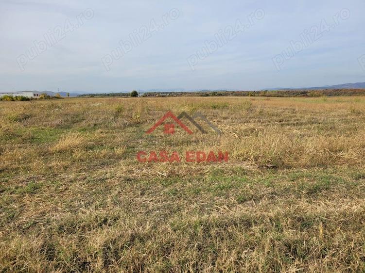 Teren intravilan in Baicoi zona targului--10.000mp--5e - 2