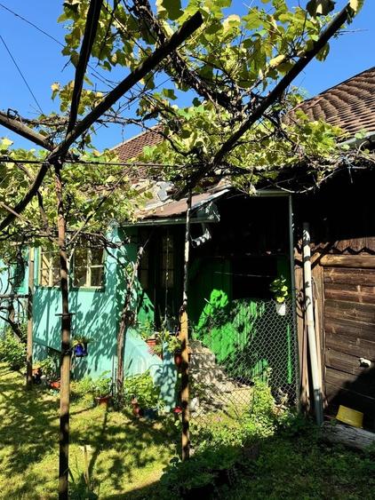 Casă cu 3 camere în Gura Râului