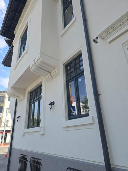 Casă cu 13 camere cu Teren 328 Mp în Ferdinand