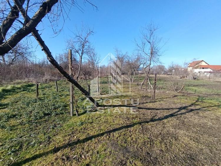 Casa individuala cu teren generos 2158mp, front 12m, liva... - 8