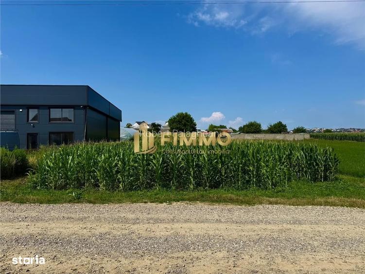 Teren 1600 mp | Intravilan | Ipotesti | Suceava | ID: 2017