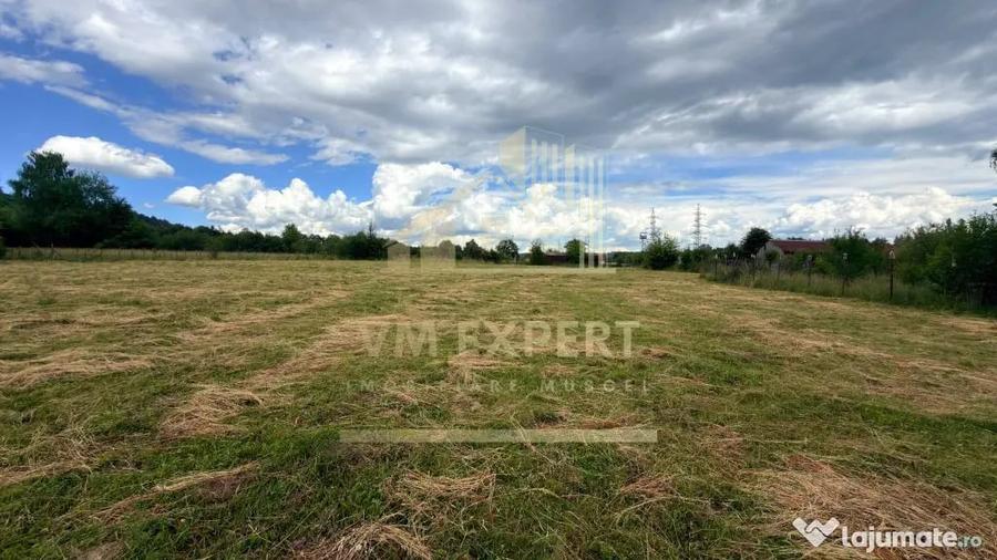 Casă cu 3 camere cu Teren 6997 Mp în Bughea de Sus