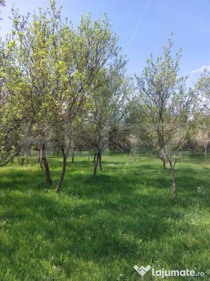 Teren în Brănișca