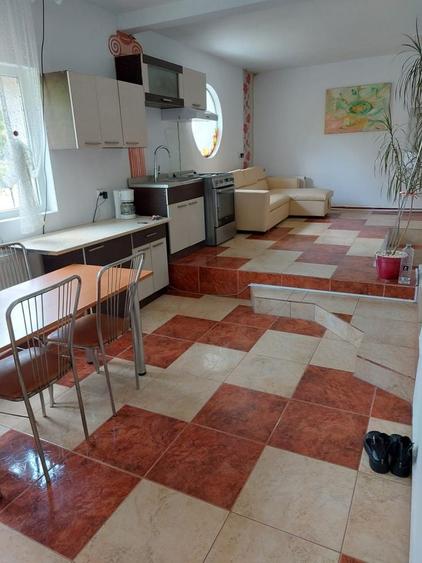 Proprietar, Camera cu baie proprie, la vila, Centru - UMF, N.Leon, doar pentru fete - 2