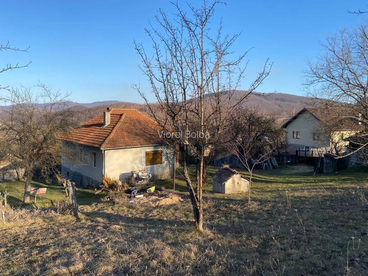 Vand casa si livada in Comuna Ciucea, judetul CLUJ