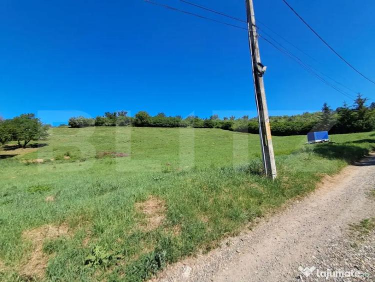 Oportunitate Investi?ie: Teren Intravilan 9600 MP in Zona - 3