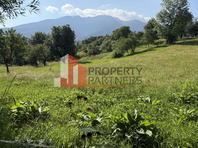 Teren Construcții intravilan de 5075 mp, în Bran