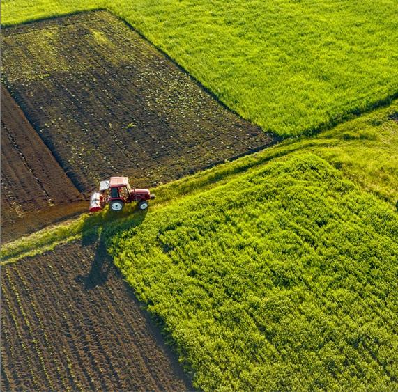 Teren agricol extravilan de 30000 mp, în Unirea