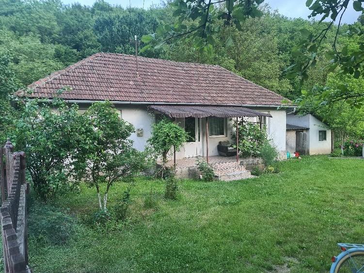 Casă cu Teren 1520 Mp în Central