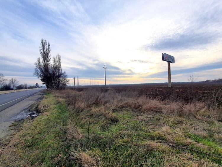 Teren Construcții intravilan de 4906 mp, în Ciolpani