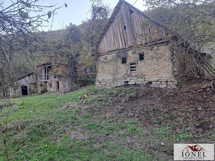 Casă individuală cu 2 camere cu Teren 17399 Mp în Valea Vințului