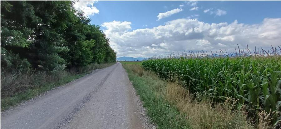 Teren Construcții extravilan de 39600 mp, în Hărman