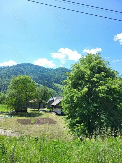 Casă cu 3 camere cu Teren 1525 Mp în Tarcău