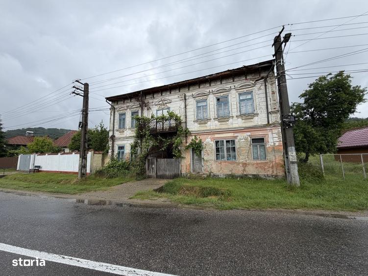 Casa Davidesti, la strada principala - 1