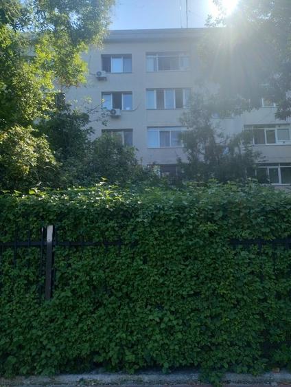 Titan, Constantin Brancusi - 6