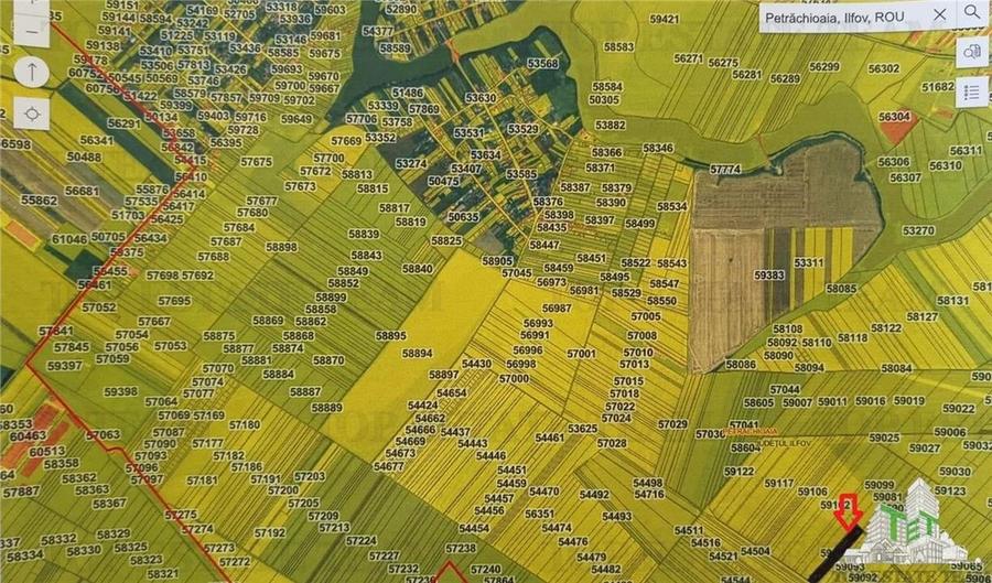 Teren agricol extravilan de 81906 mp, în Petrăchioaia