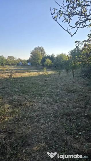 Teren de 3161 mp, în Tărtășești