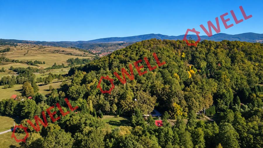 Teren extravilan de 16800 mp, în Bățanii Mici