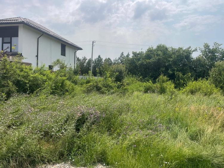 Teren Construcții intravilan de 1000 mp, în Ostratu