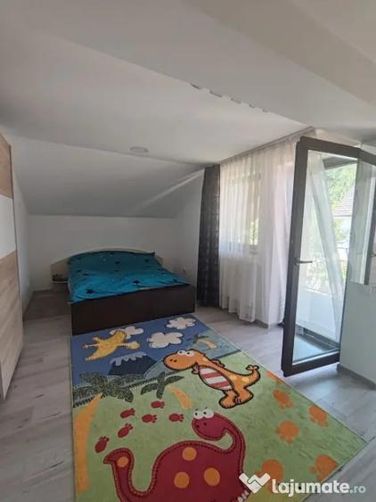 Casă cu 5 camere cu Teren 765 Mp în Valea Borcutului
