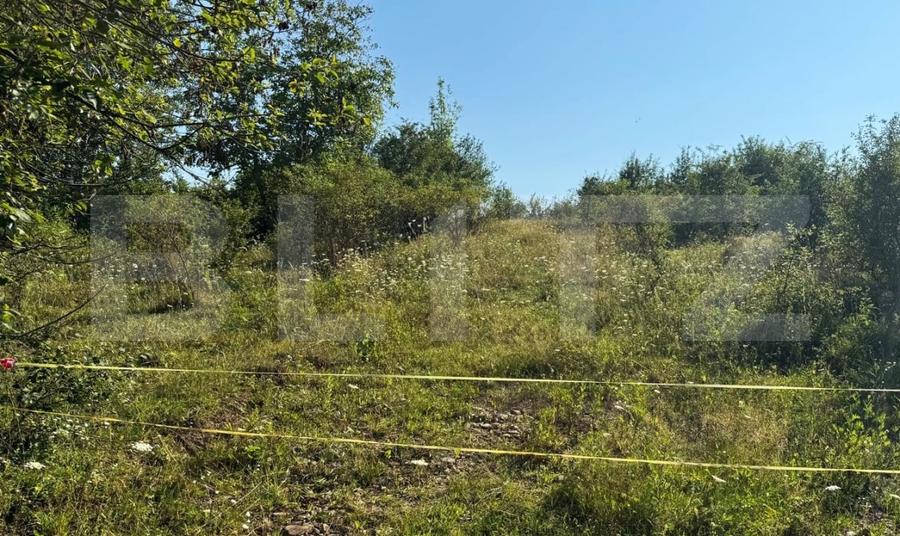 Teren Construcții extravilan de 1500 mp, în Sud