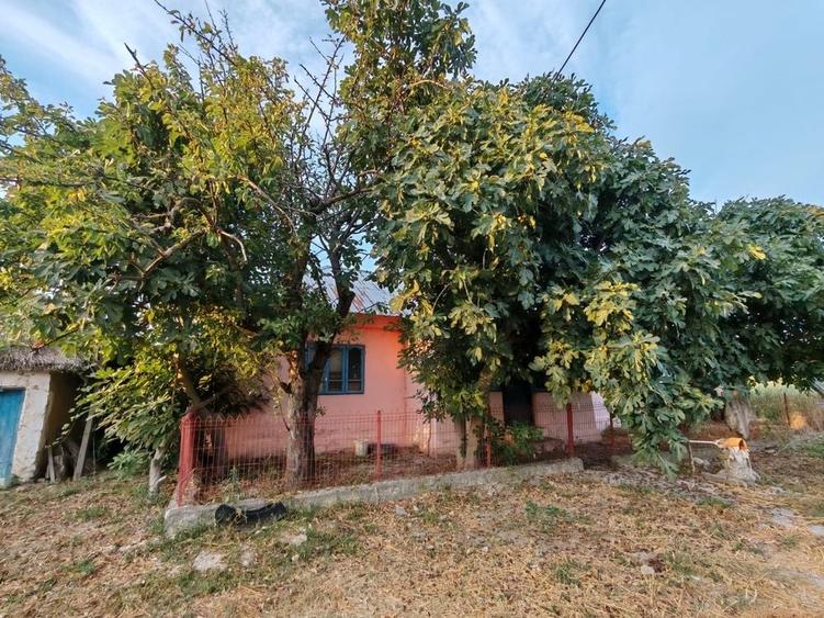 Casă cu 3 camere în Sălcioara
