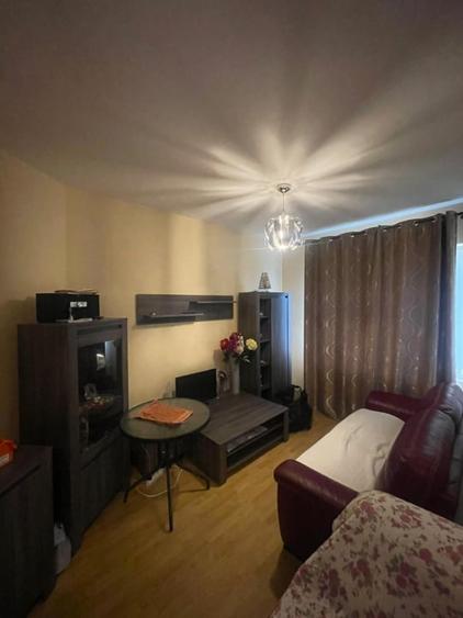 Apartament cu 3 camere decomandat, mobilat în Valea Borcutului