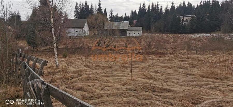 Teren Construcții extravilan de 1238 mp, în Beliș