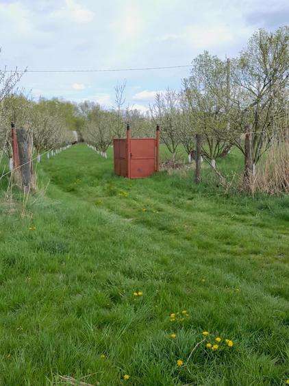 Teren agricol extravilan de 3900 mp, în Lunca Oltului