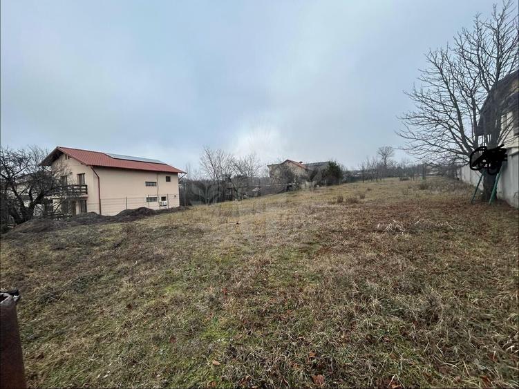 Teren Construcții intravilan de 3009 mp, în Păulești