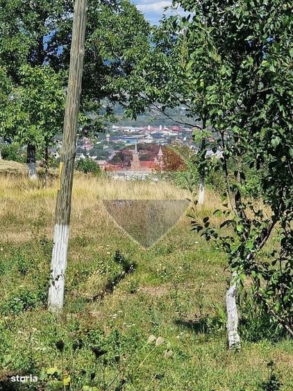 Casă cu 3 camere cu Teren 6000 Mp în Central