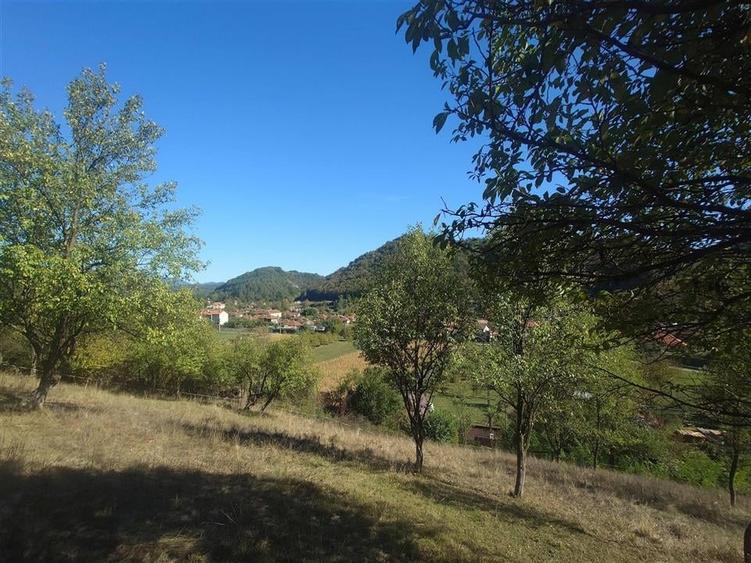 Teren Construcții extravilan de 14075 mp, în Crișcior