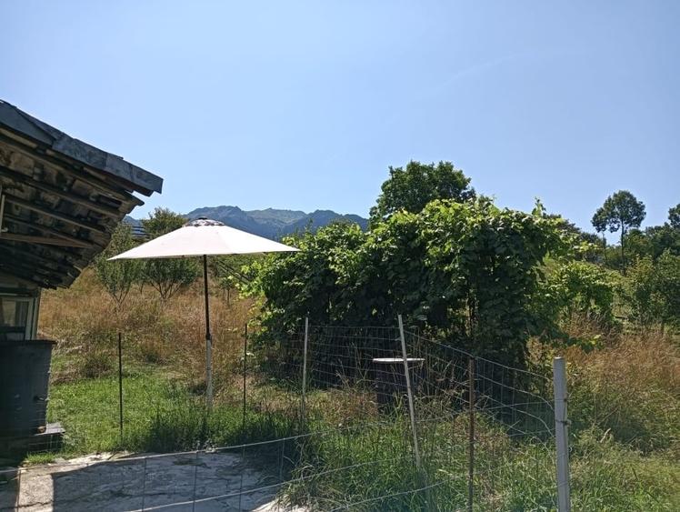Teren Construcții intravilan de 3981 mp, în Bran