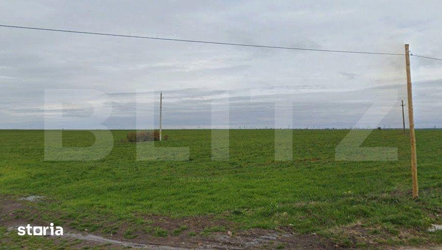 Teren de 16000 mp, în Bucovăț