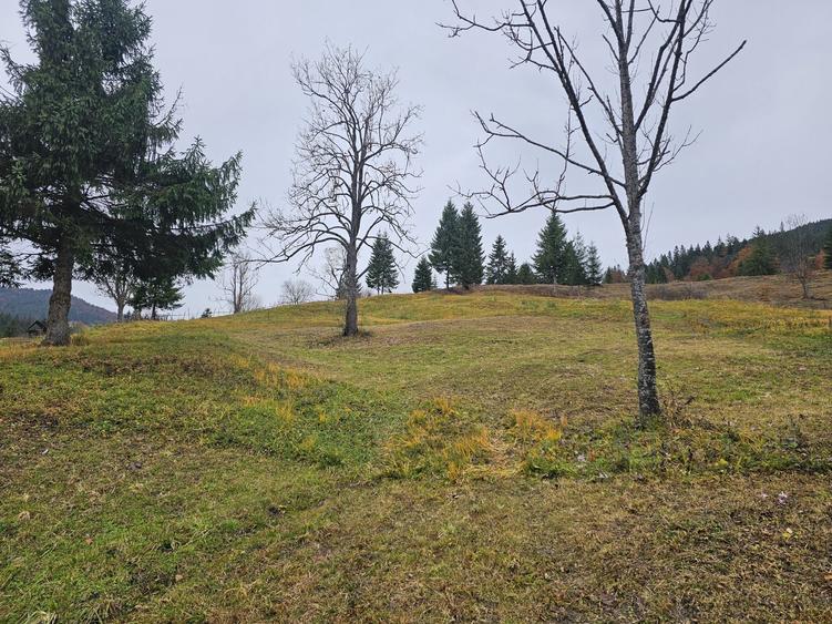 Casă cu 2 camere cu Teren 15000 Mp în Petru Vodă