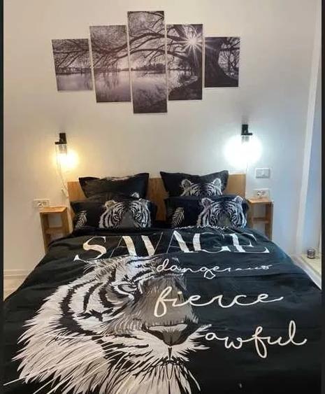 Apartament cu 2 camere decomandat, mobilat în Viilor