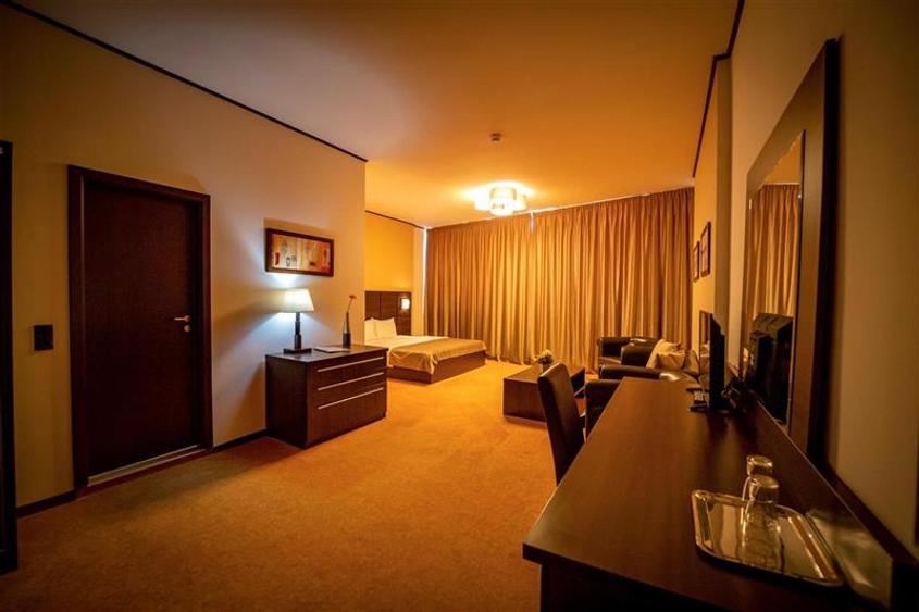 Hotel/Pensiune, de 4,484 mp, în Șagului
