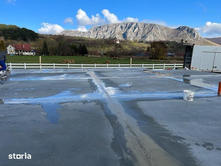 Teren de 9000 mp, în Fărău