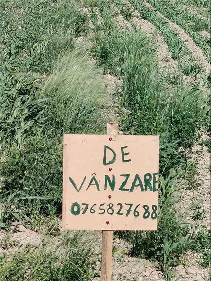 Teren de 3400 mp, în Jupa