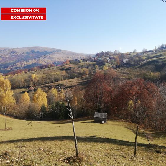 Teren Construcții intravilan de 10479 mp, în Răchițele