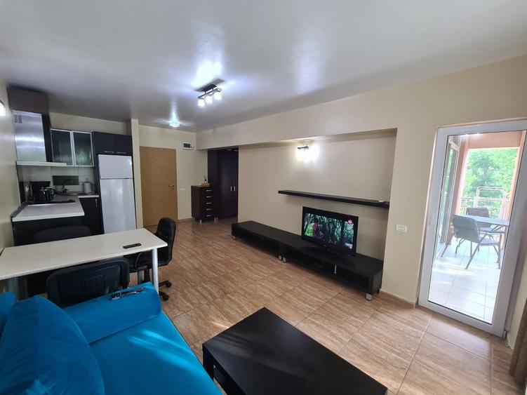 Apartament cu 2 camere  Sat Vacanta zona hotel Parc 400 euro - 7